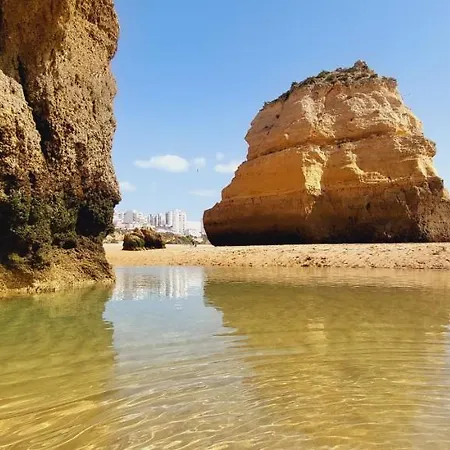 Lejlighed Cpr Solnascente *